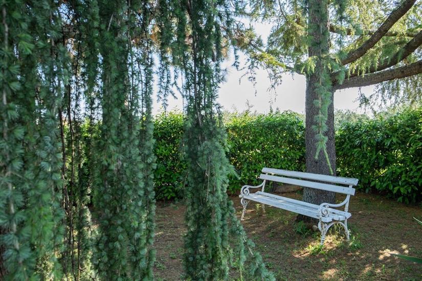 Villa Alberi with pool