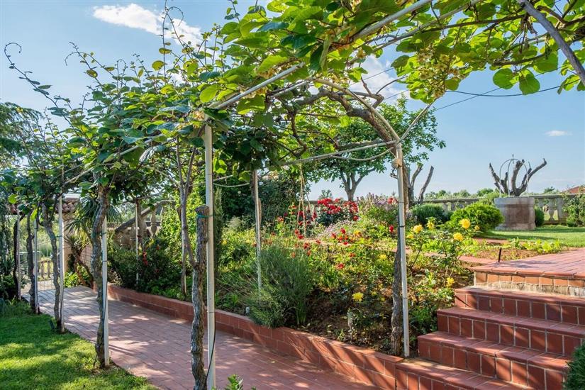 Villa Alberi with pool