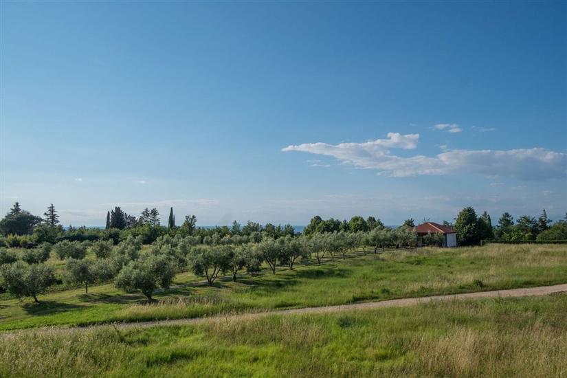 Villa Alberi with pool