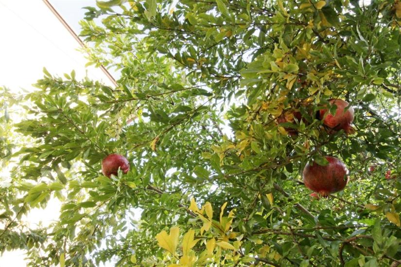 Apartment A1, for 3 persons