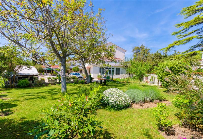 Apartments and Rooms PREKA