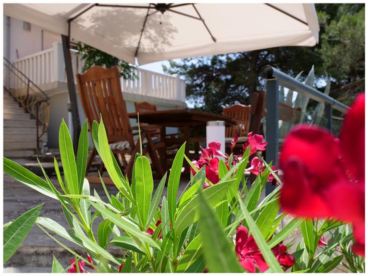 Apartments Tina Toni