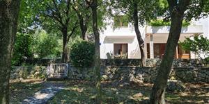 Apartman - Klenovica (Novi Vinodolski)