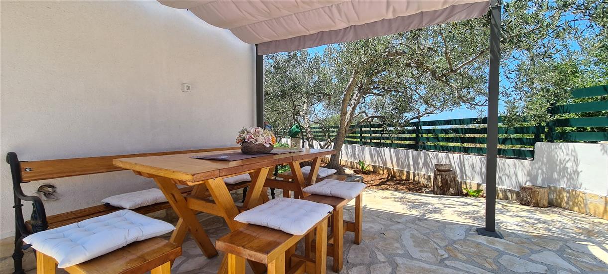 House Relaxing oasis