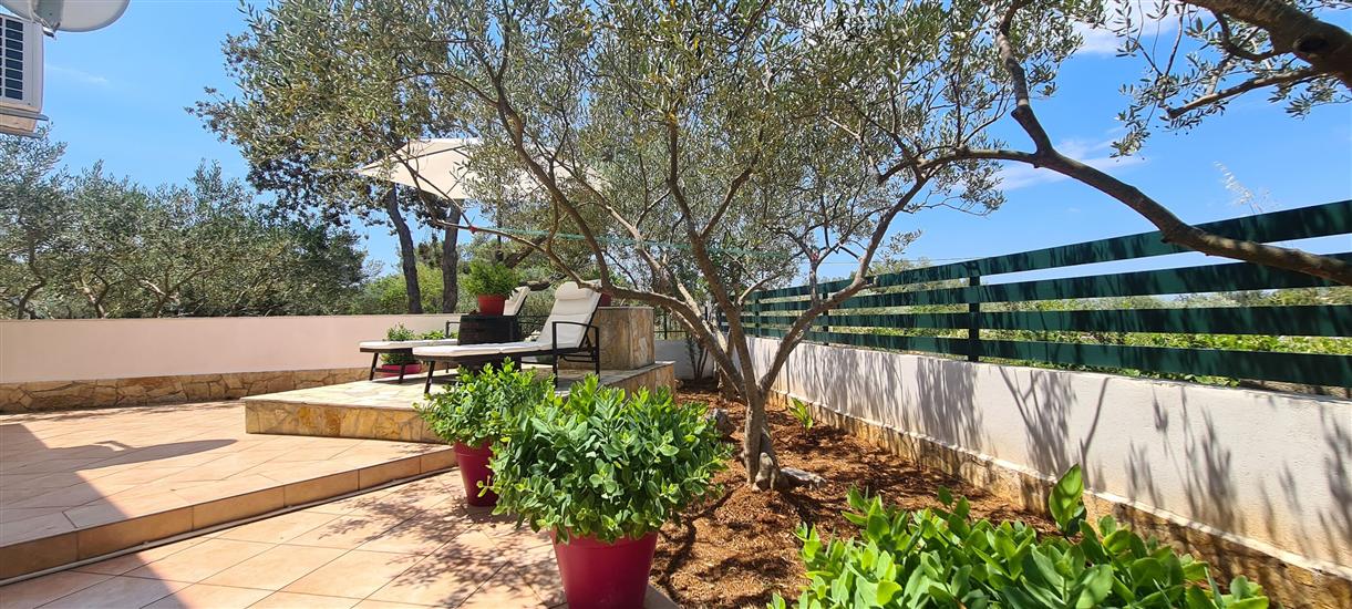 House Relaxing oasis