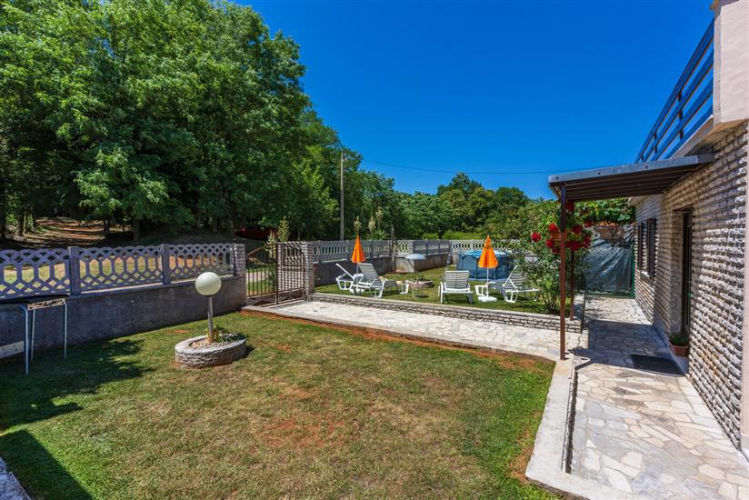 House Forest Paradise