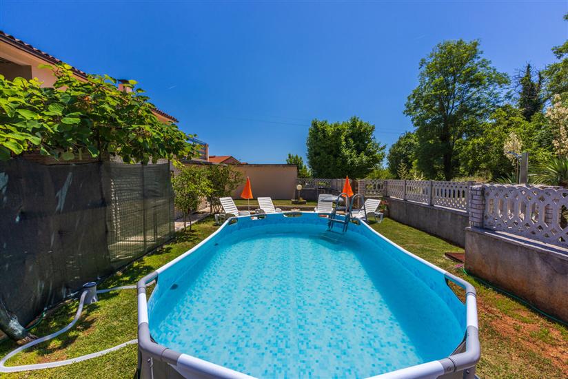 Hiša Forest Paradise