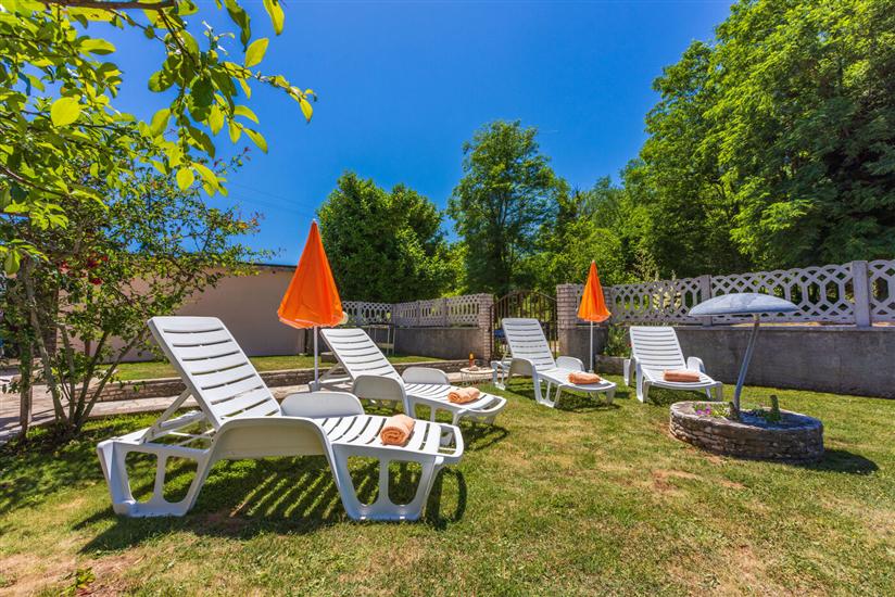 House Forest Paradise