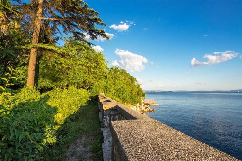 Apartment Royal studio