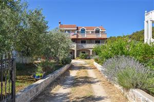 Apartman - Tkon - otok Pašman