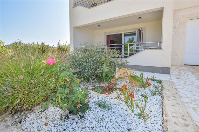 Apartment Ray of Sunshine