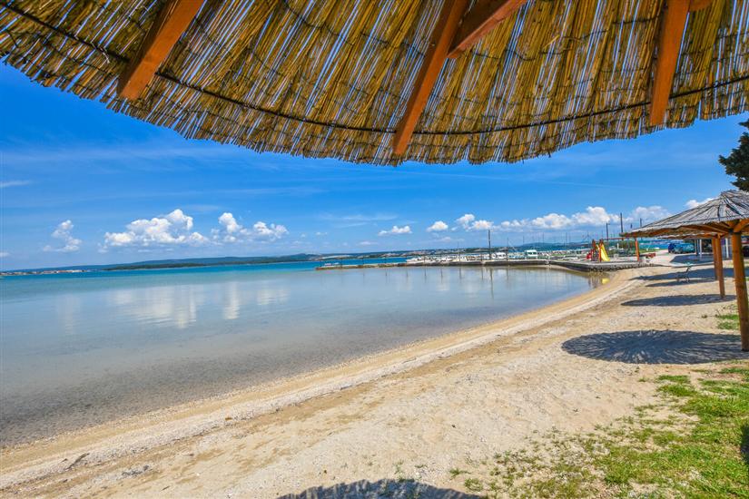 Apartment Ray of Sunshine