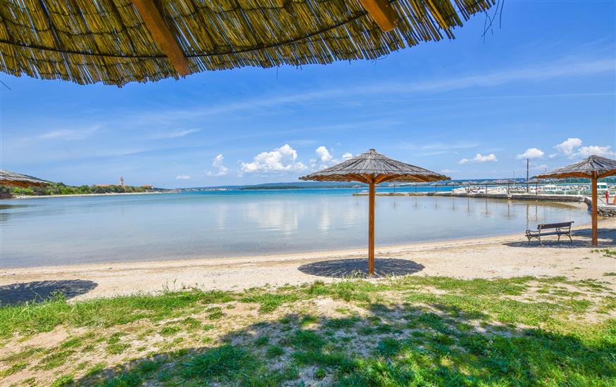 Apartment Ray of Sunshine