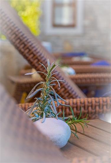 House K1, for 11 persons