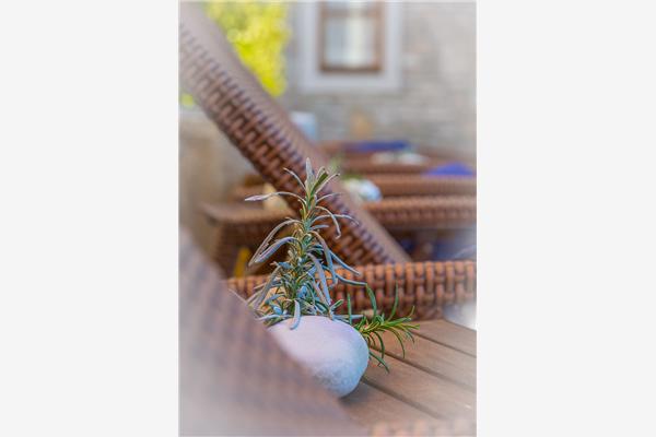 House K1, for 11 persons