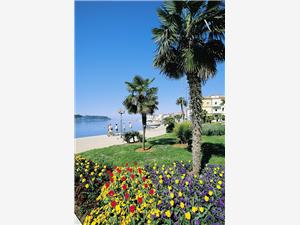 Porec-port-with-palms-and-towers