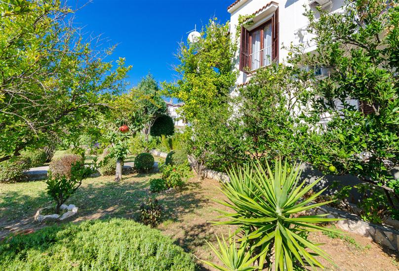 Apartments Ljubica J