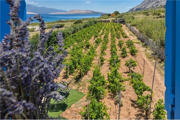 House K1, for 4 persons