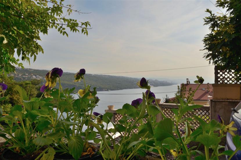 Apartments Vladislav