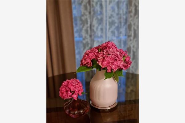 Appartement A2, pour 4 personnes