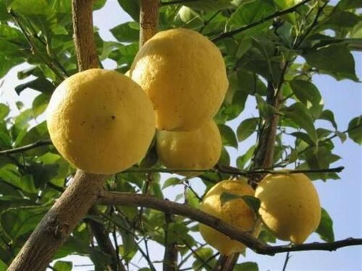 Apartment A1, for 2 persons