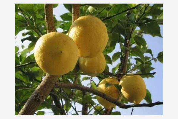 Apartment A1, for 2 persons