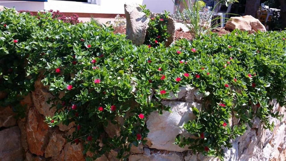 House K1, for 5 persons