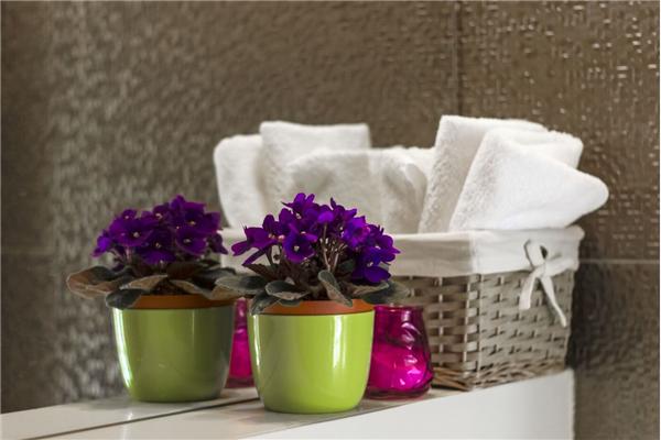 House K1, for 8 persons