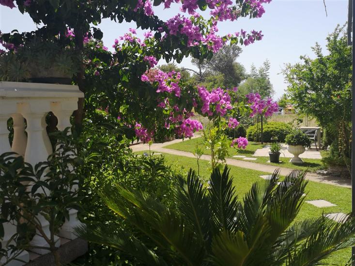Apartments Plava plaza Daniela