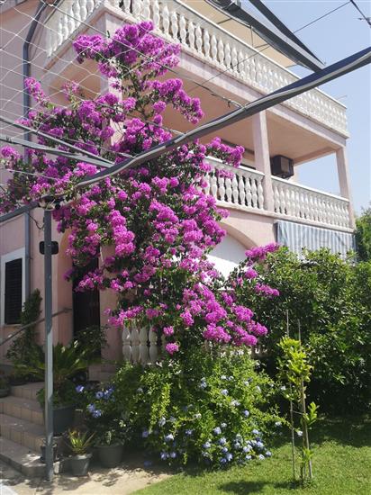 Apartments Plava plaza Daniela