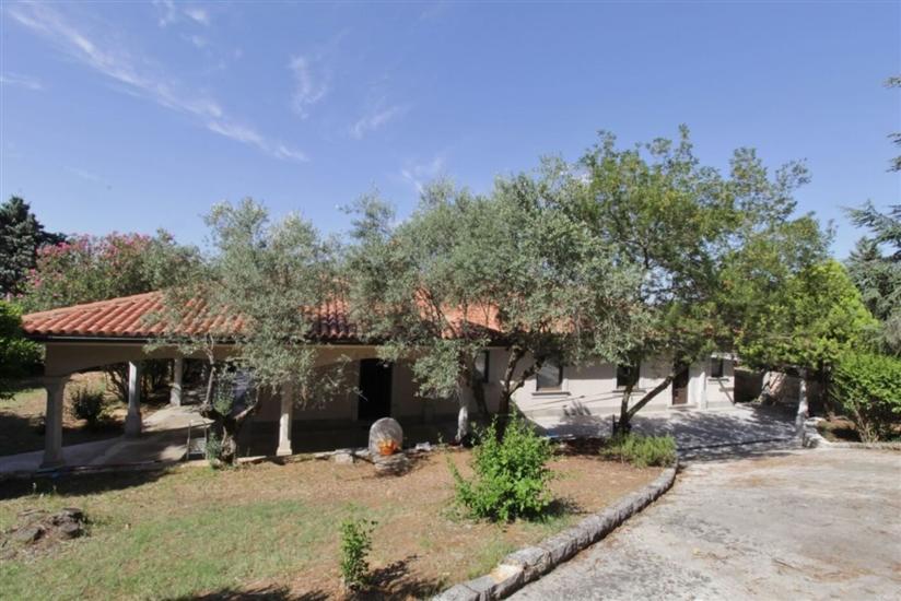 House Danica Monterosso