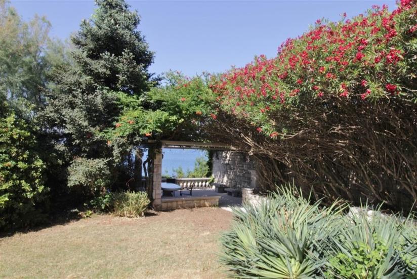 House Danica Monterosso