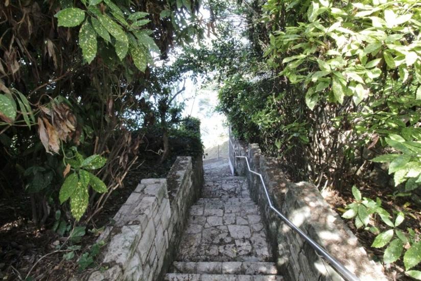 House Danica Monterosso