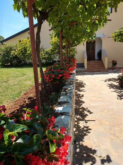 Apartments Graziella Zambratija