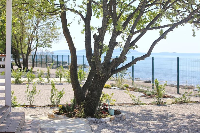 Mobile home Frangipani 3