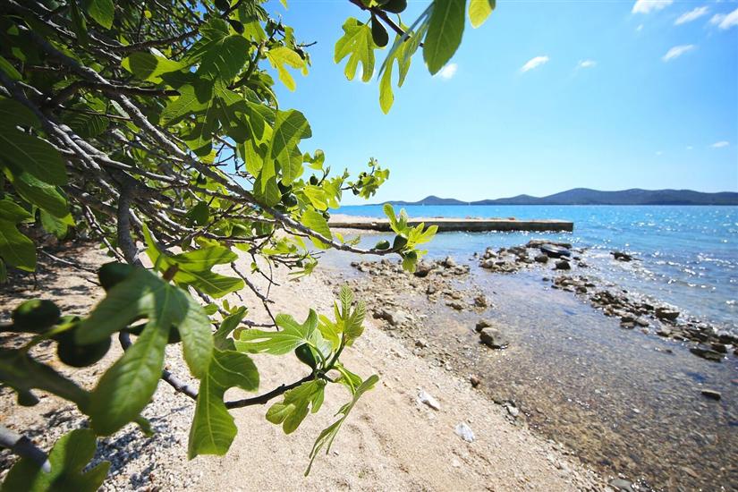 Mobile home Pen Shell