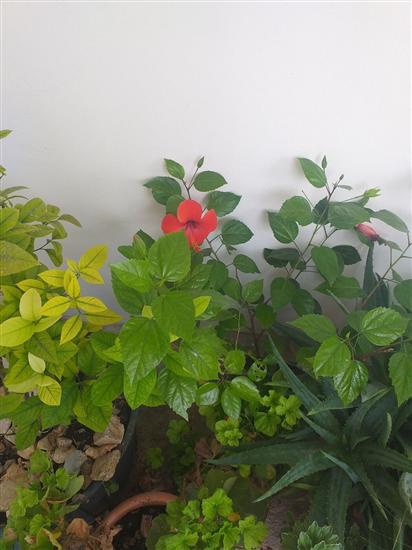 Apartment A2, for 2 persons