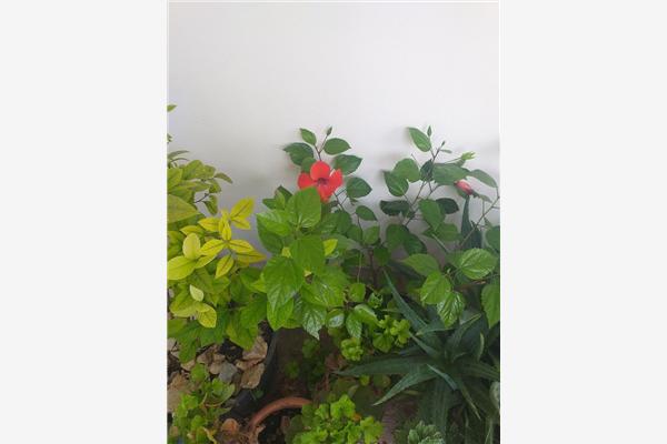 Apartment A2, for 2 persons