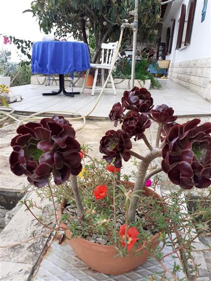 Apartment A2, for 2 persons