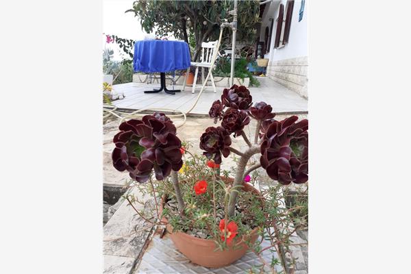 Apartment A2, for 2 persons