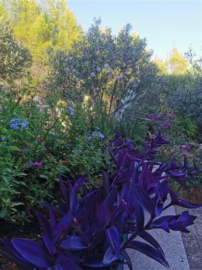 Apartment A2, for 2 persons