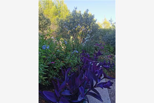 Apartment A2, for 2 persons