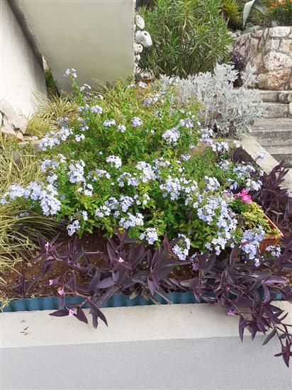 Apartment A2, for 2 persons