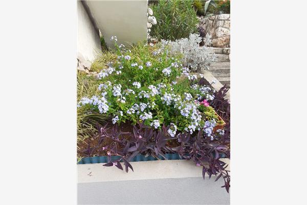 Apartment A2, for 2 persons