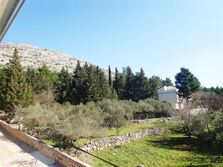 Apartment MASLINA-on quiet location