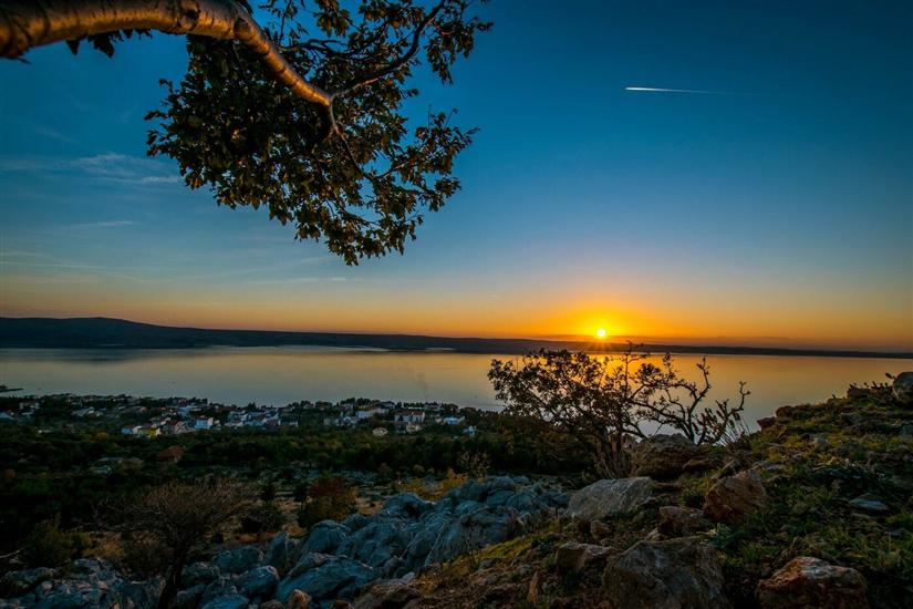 Apartment MASLINA-on quiet location