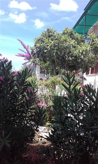 Apartment A2, for 2 persons