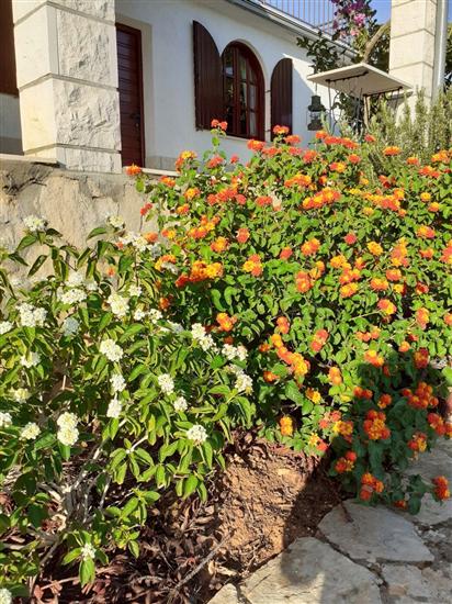 Apartment A2, for 2 persons