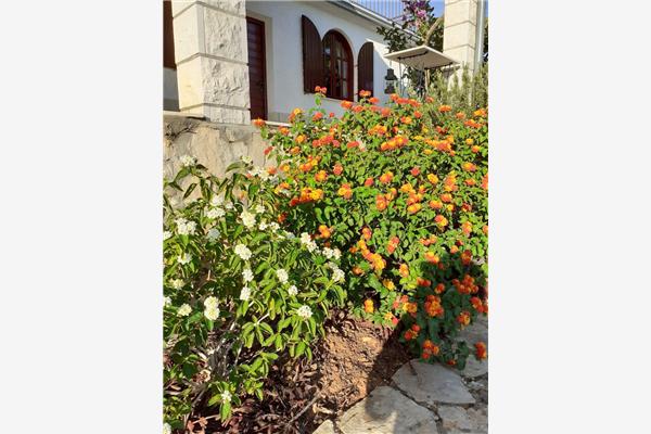 Apartment A2, for 2 persons