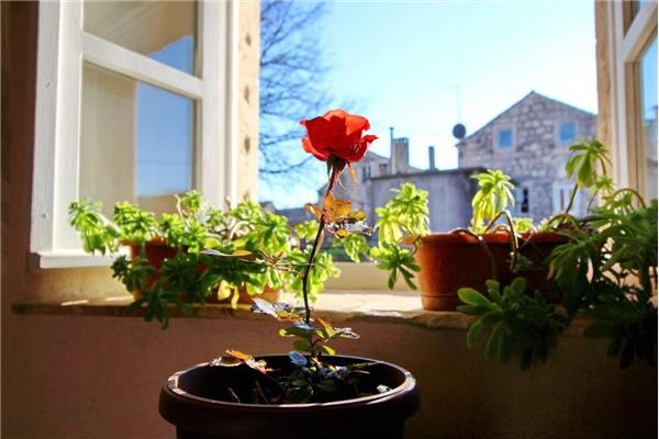 Apartment A1, for 2 persons